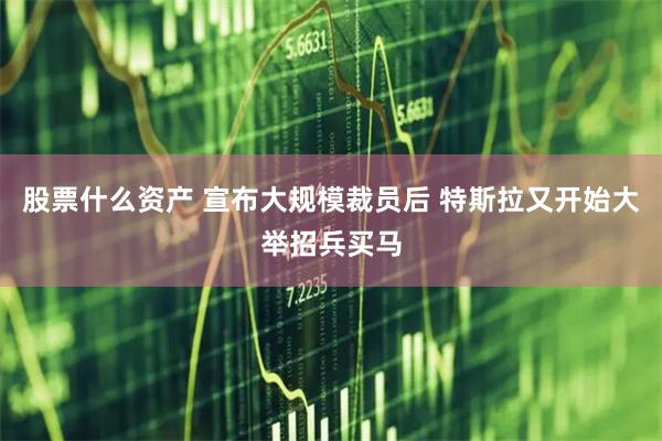 股票什么资产 宣布大规模裁员后 特斯拉又开始大举招兵买马