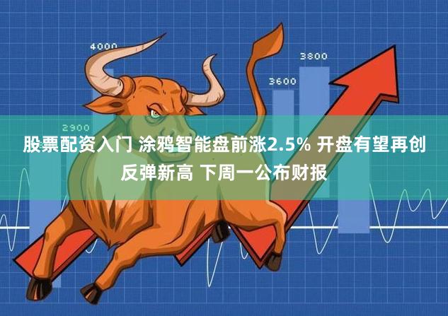 股票配资入门 涂鸦智能盘前涨2.5% 开盘有望再创反弹新高 下周一公布财报