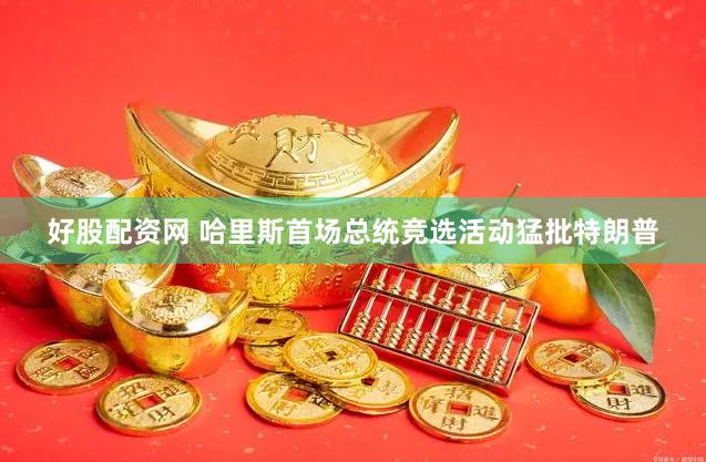 好股配资网 哈里斯首场总统竞选活动猛批特朗普