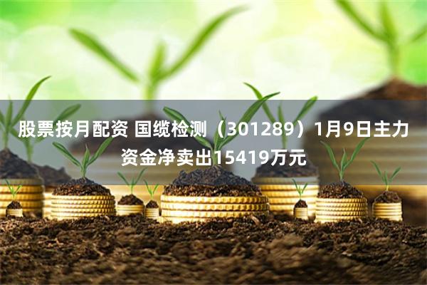 股票按月配资 国缆检测（301289）1月9日主力资金净卖出15419万元